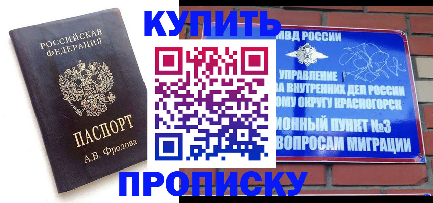 прописка поиск в Петропавловске-Камчатском